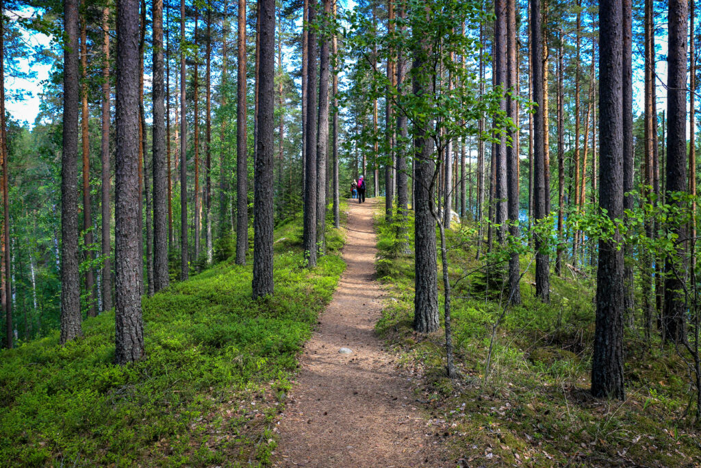 Vierumäen Lemmenharjun luontopolku Heinola Lemmenharju trail on Vierumäki